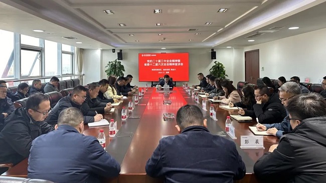 集團(tuán)黨委委員、副總經(jīng)理?xiàng)罱鸫ǖ焦拘v黨的二十屆三中全會和省委十二屆六次全會精神